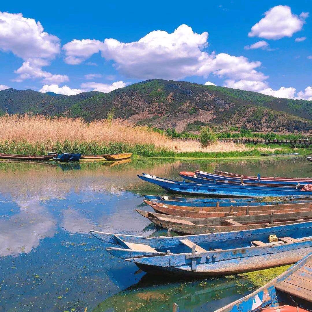 财神爷的小宝贝