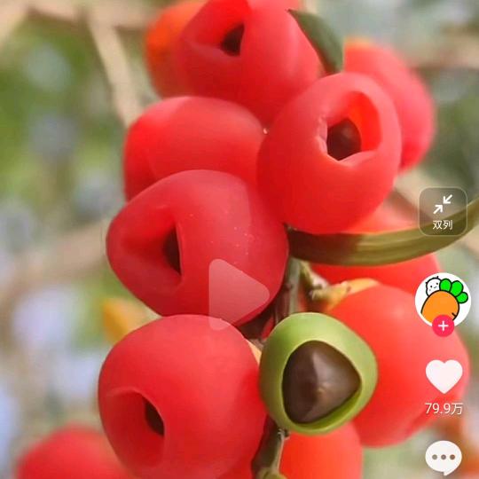 幸福的胖姐姐🐁🐁🐁