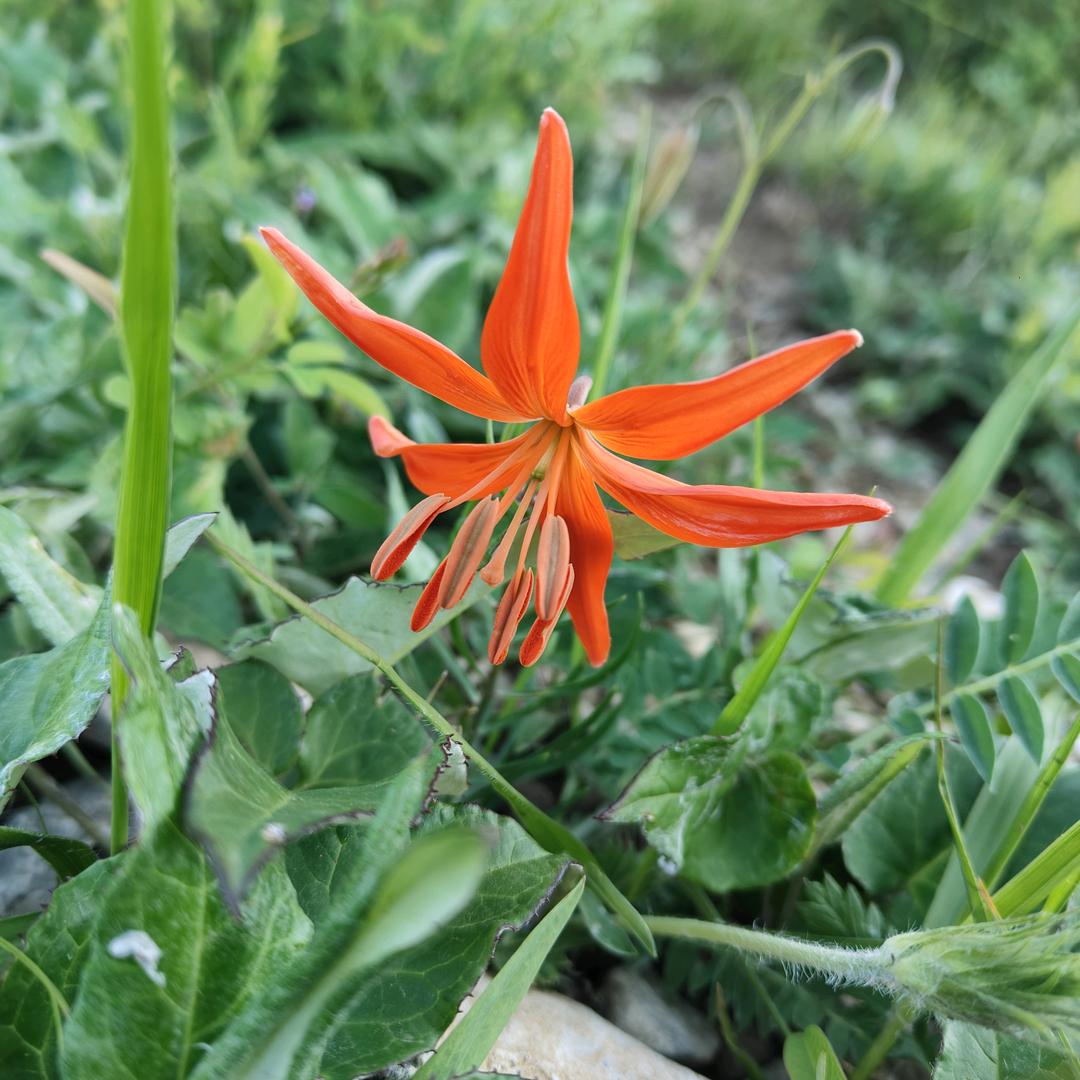 你我互关秒回关