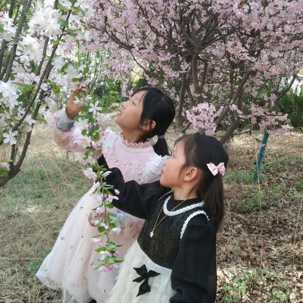 洛阳王朝🌹🌺🌷🌺🌹🌷