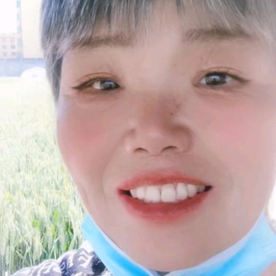 周姐家有龙虎