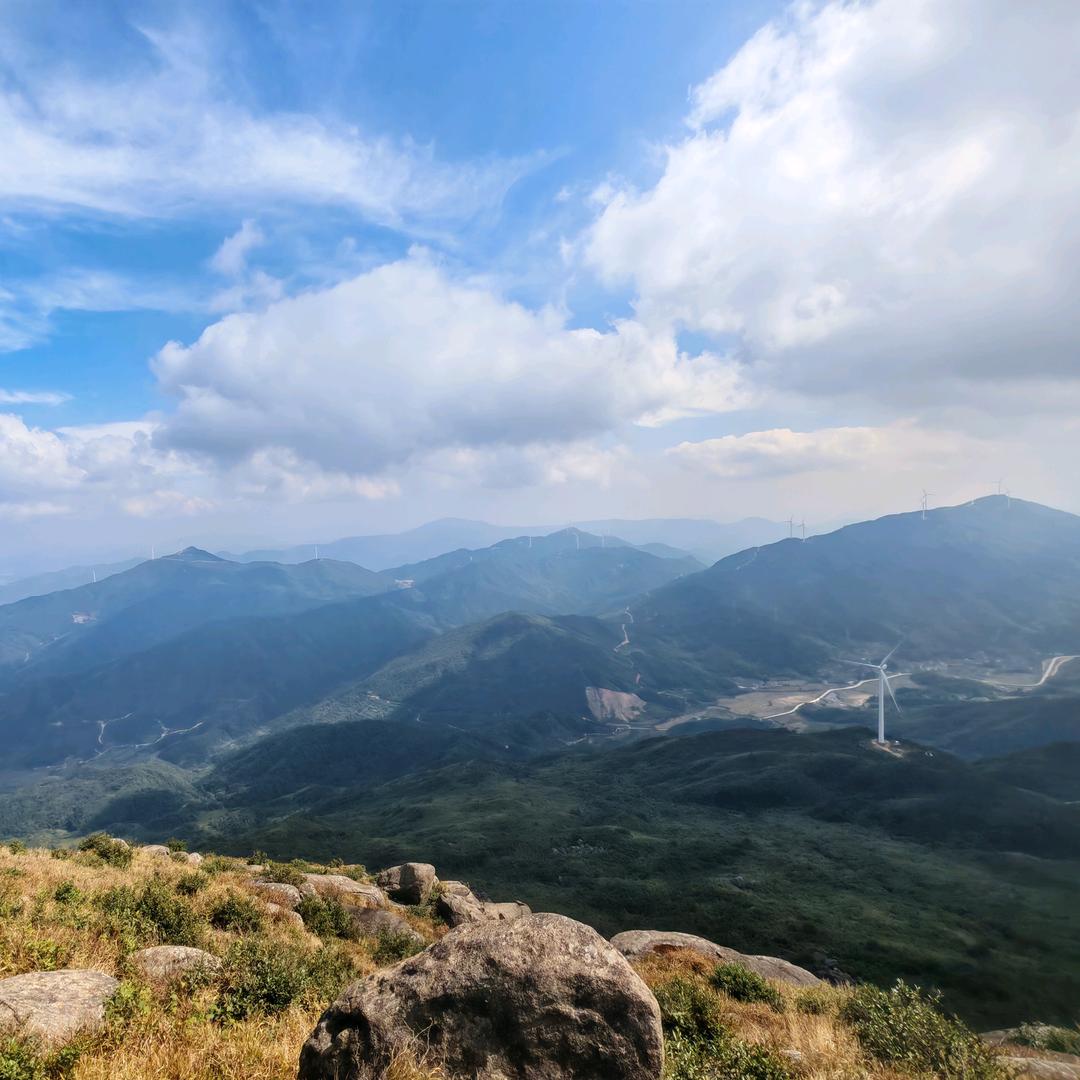 华茂筛网《龙哥》