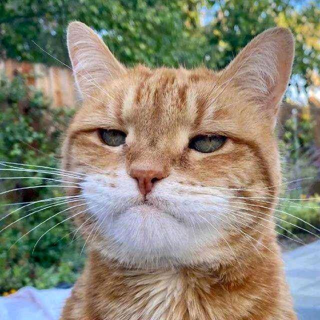 南笙（三角洲行动）