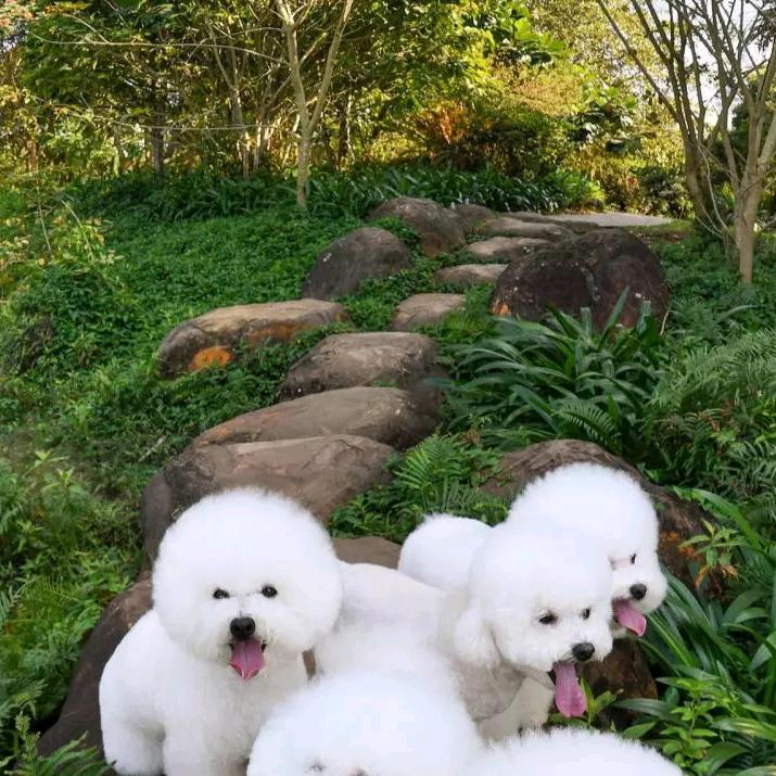 山清水秀