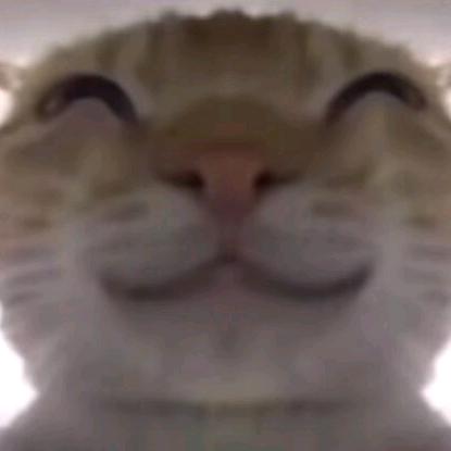 瓜٩(๑•ㅂ•)۶