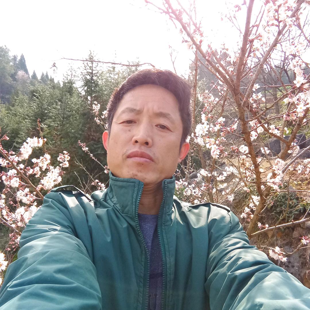 布来