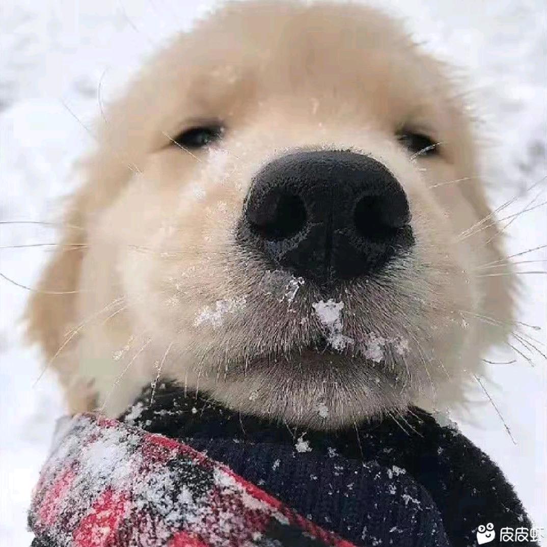 🌈` 天空之城、