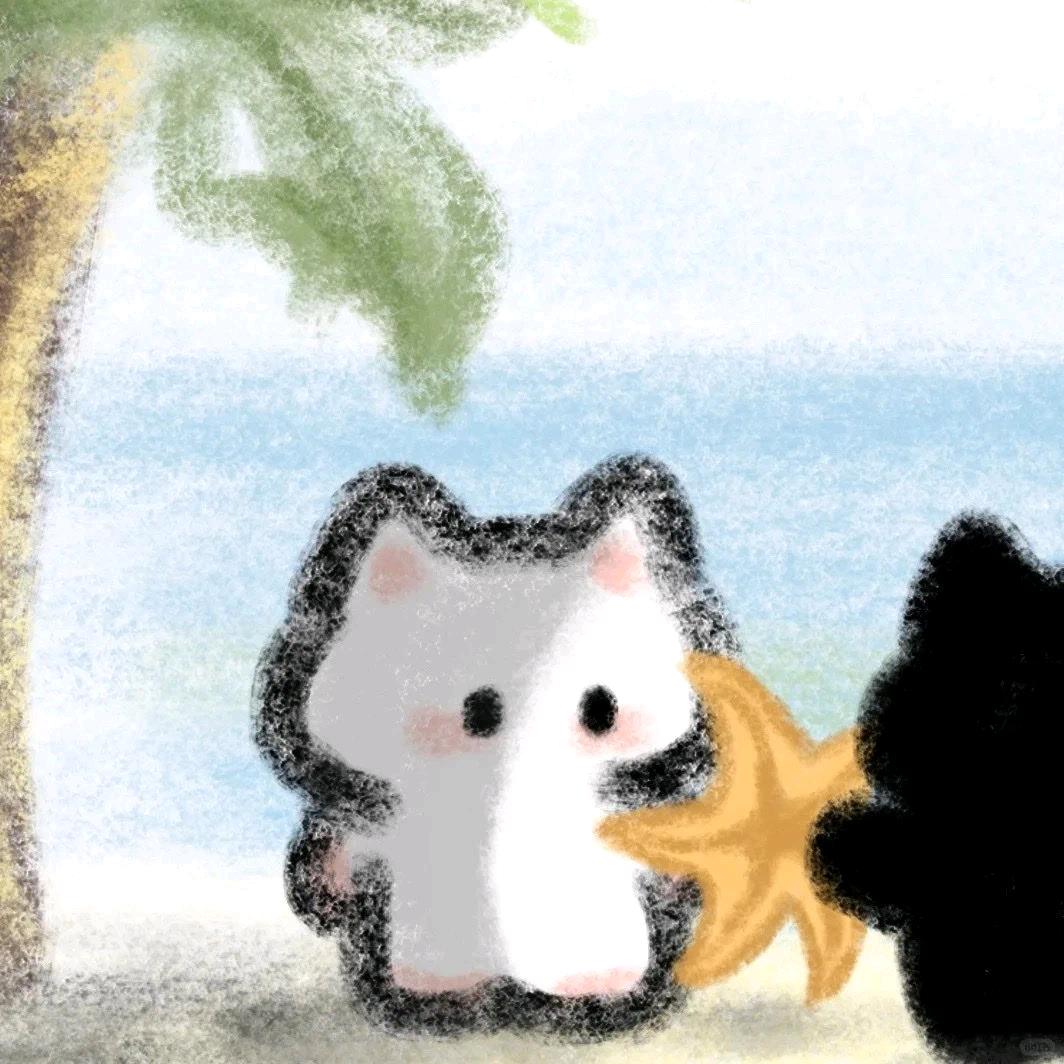 洁洁猪