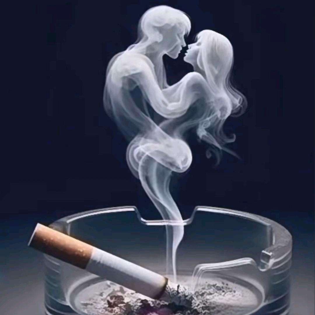 烟到尽头终是灰