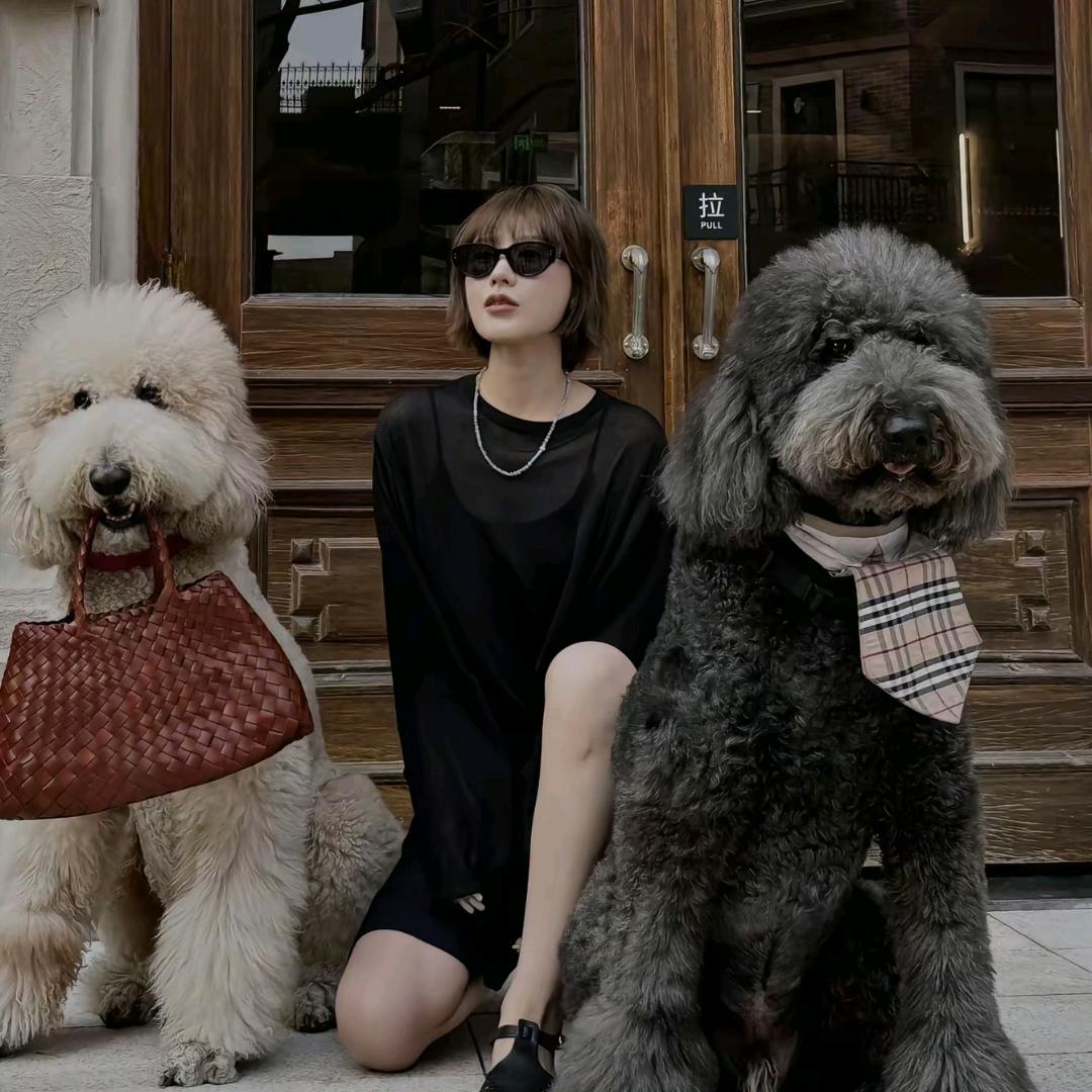 韩彬彬-彬彬有你