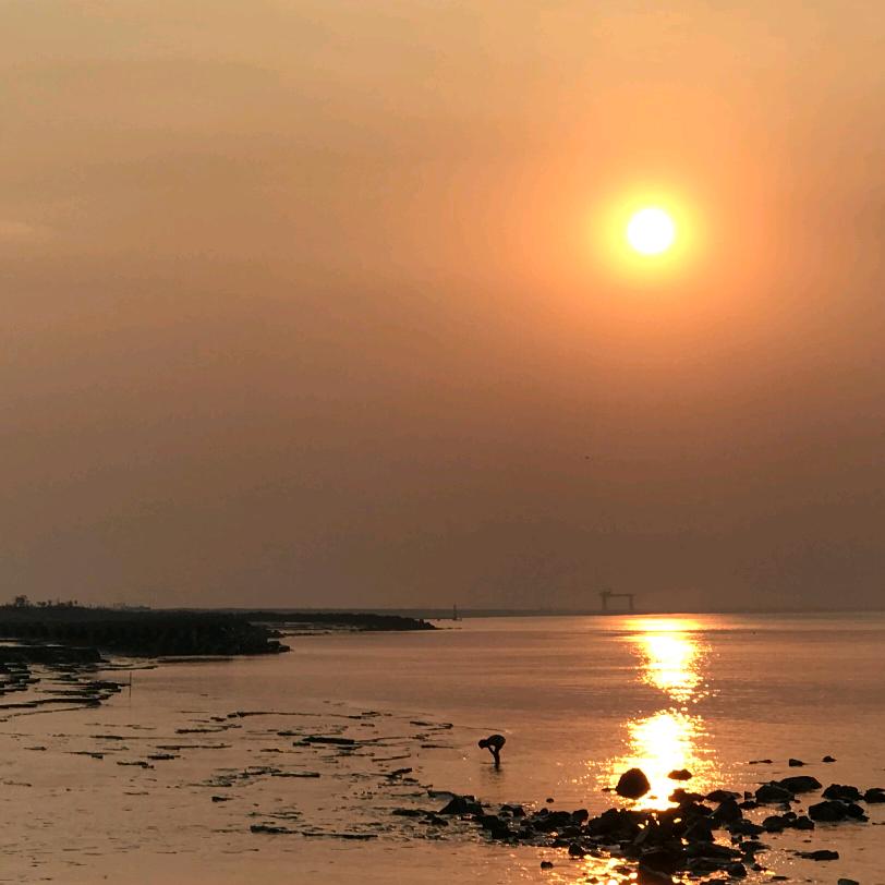 都市游牧民「🎶🎶」