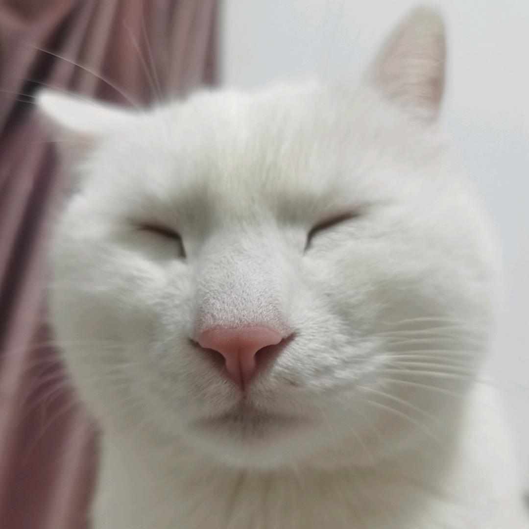 嗑点瓜子儿
