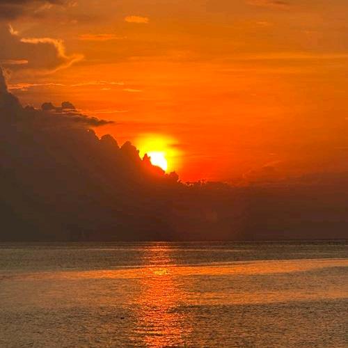 一只杨（见过埃文凯尔先生版）