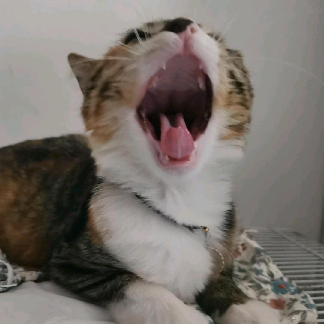 DNF来财