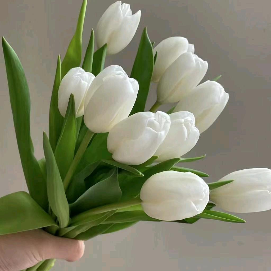 银川市金凤区艾淘鲜花坊（个体工商户）