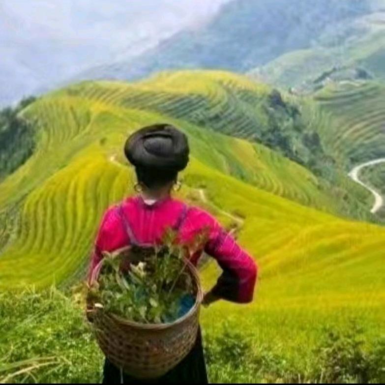中汇融佳选