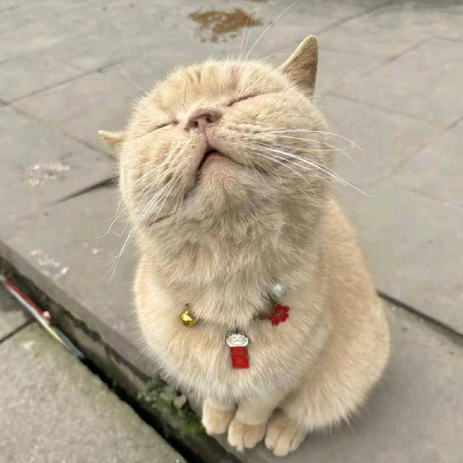 小南