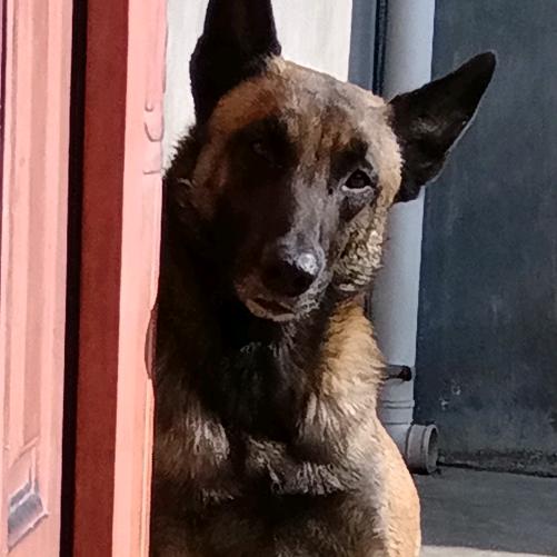 素颜不出的美丽