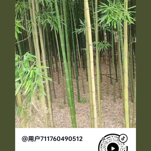 用户711760490512