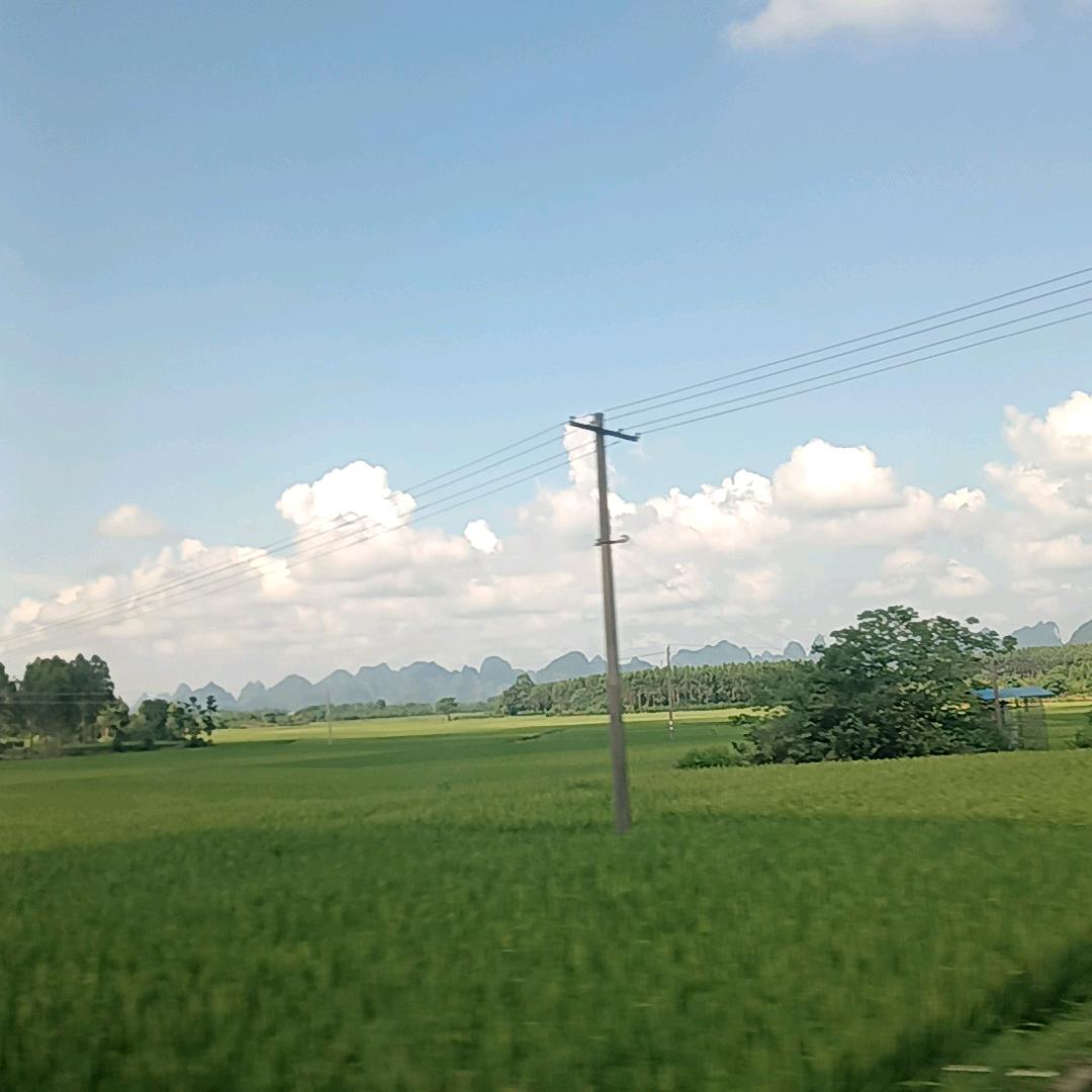一生一世一双人
