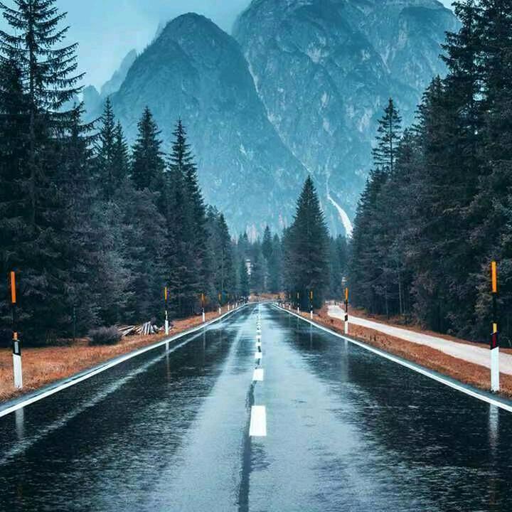 踏晨雨燕