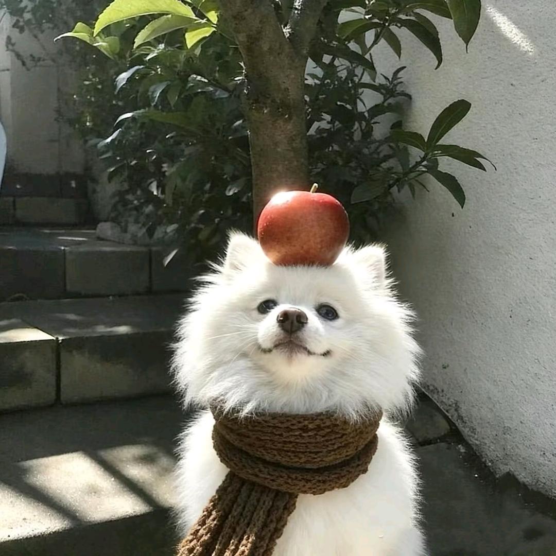 好馋呀！