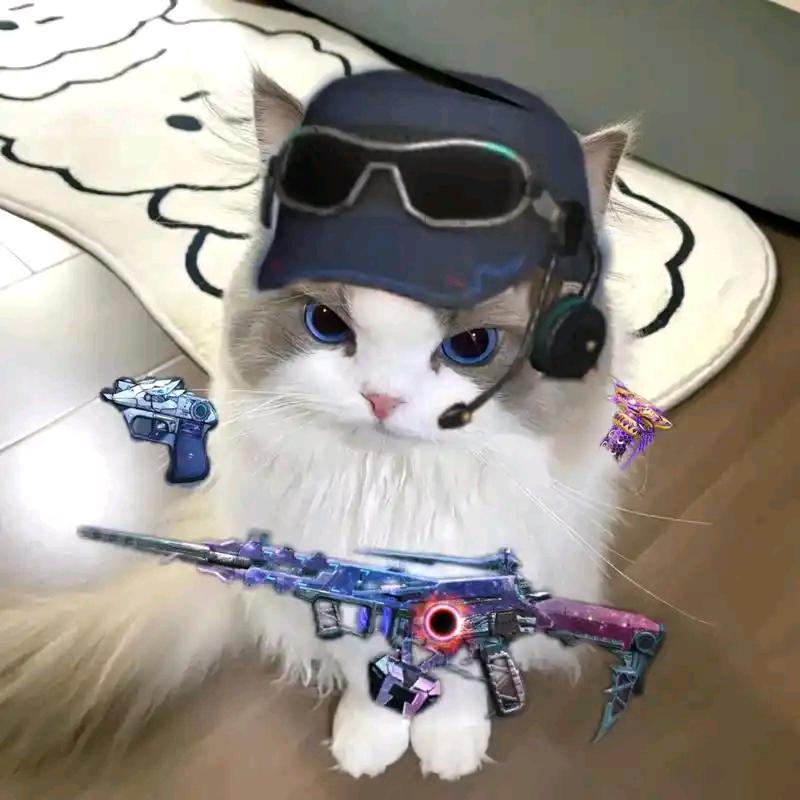 兮梦