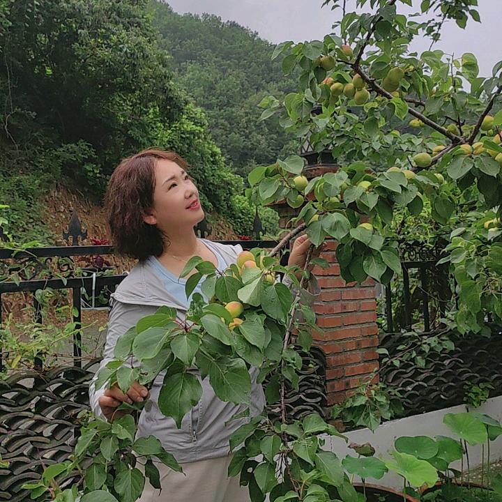 华姐