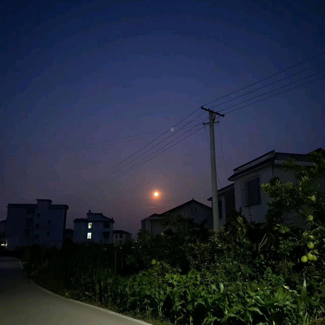 越野帅芳