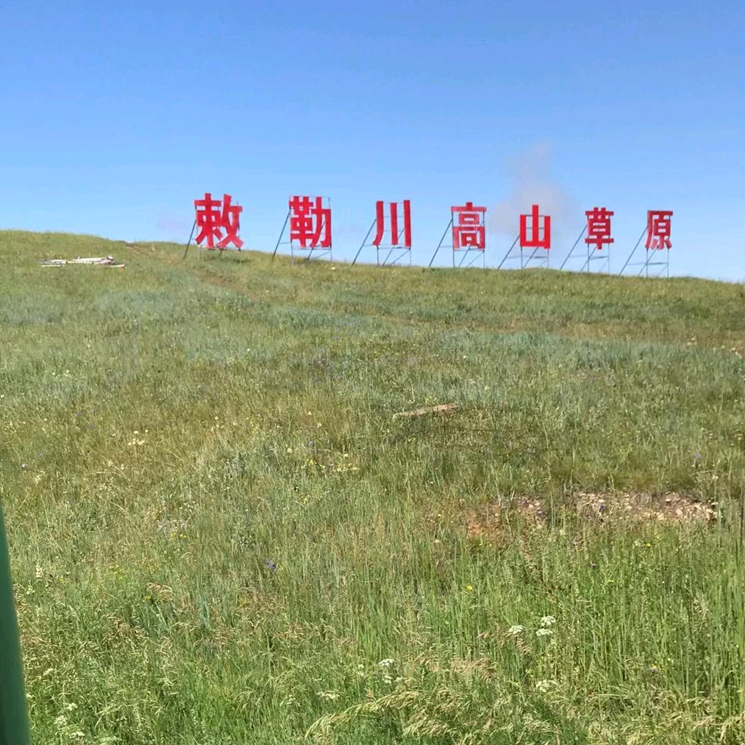 米兔🐰