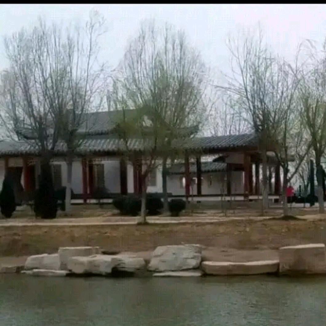 美好于我相伴