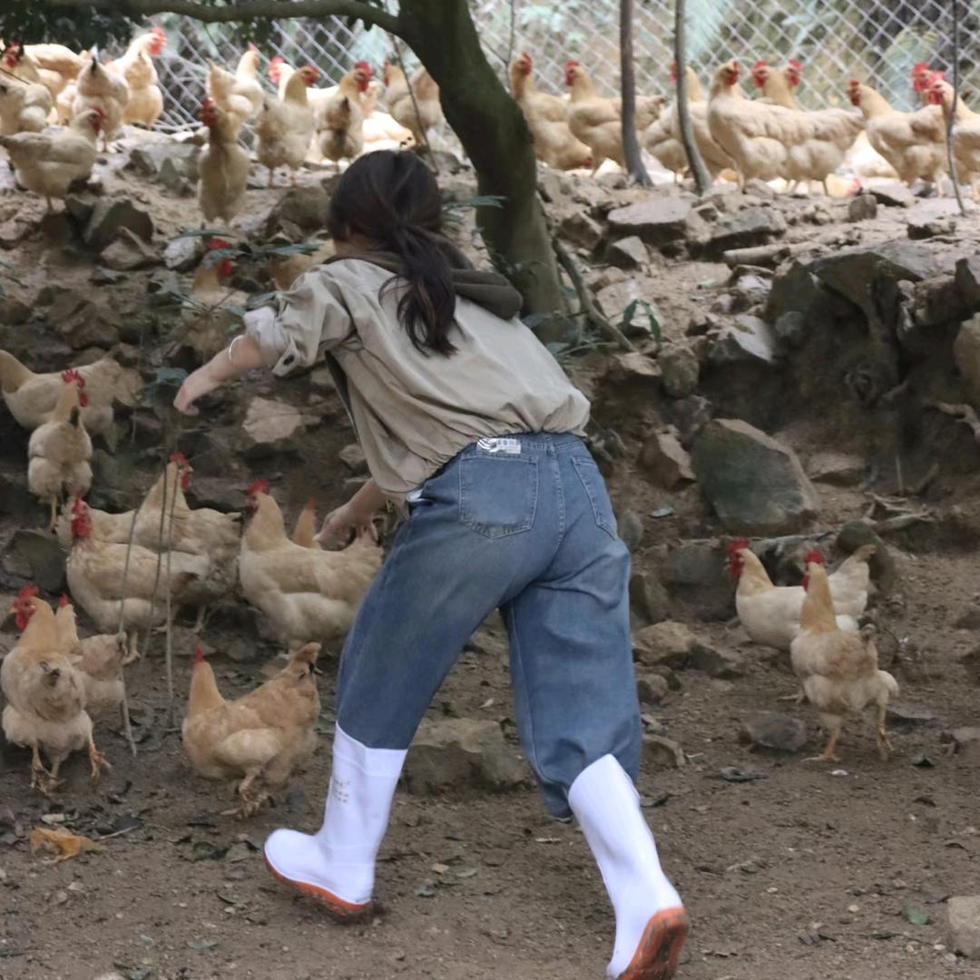 养鸡陈四娘