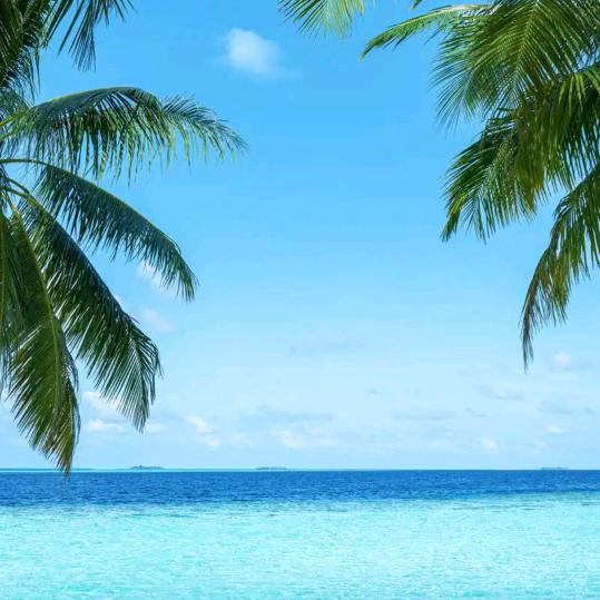 碧海蓝天🎤