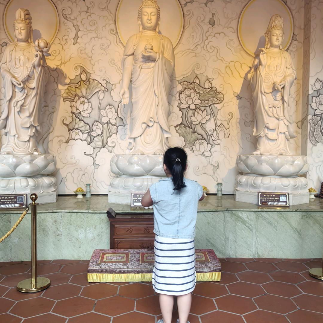 ✨💕ꦿ᭄杨帆起✨航༉ᩚ᭄（橱窗推荐