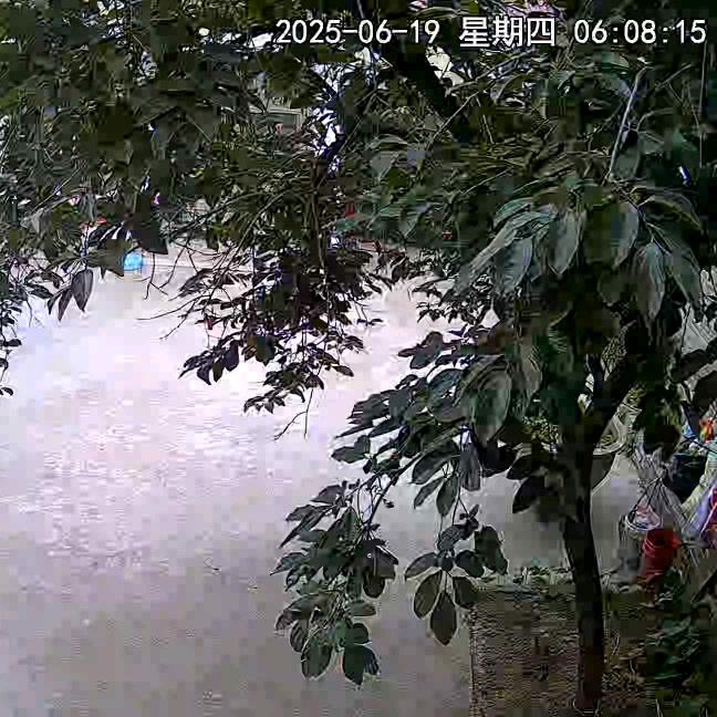 成功靠自己，爱拼才会赢！