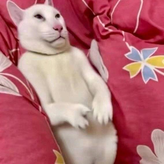 呃