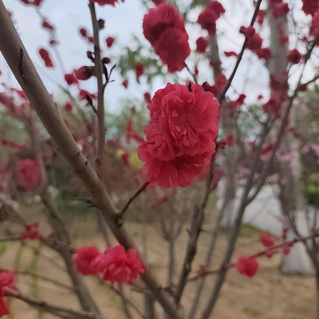 自在飞翔（互关）