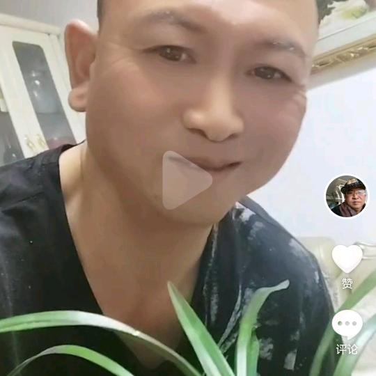 |黄毅
