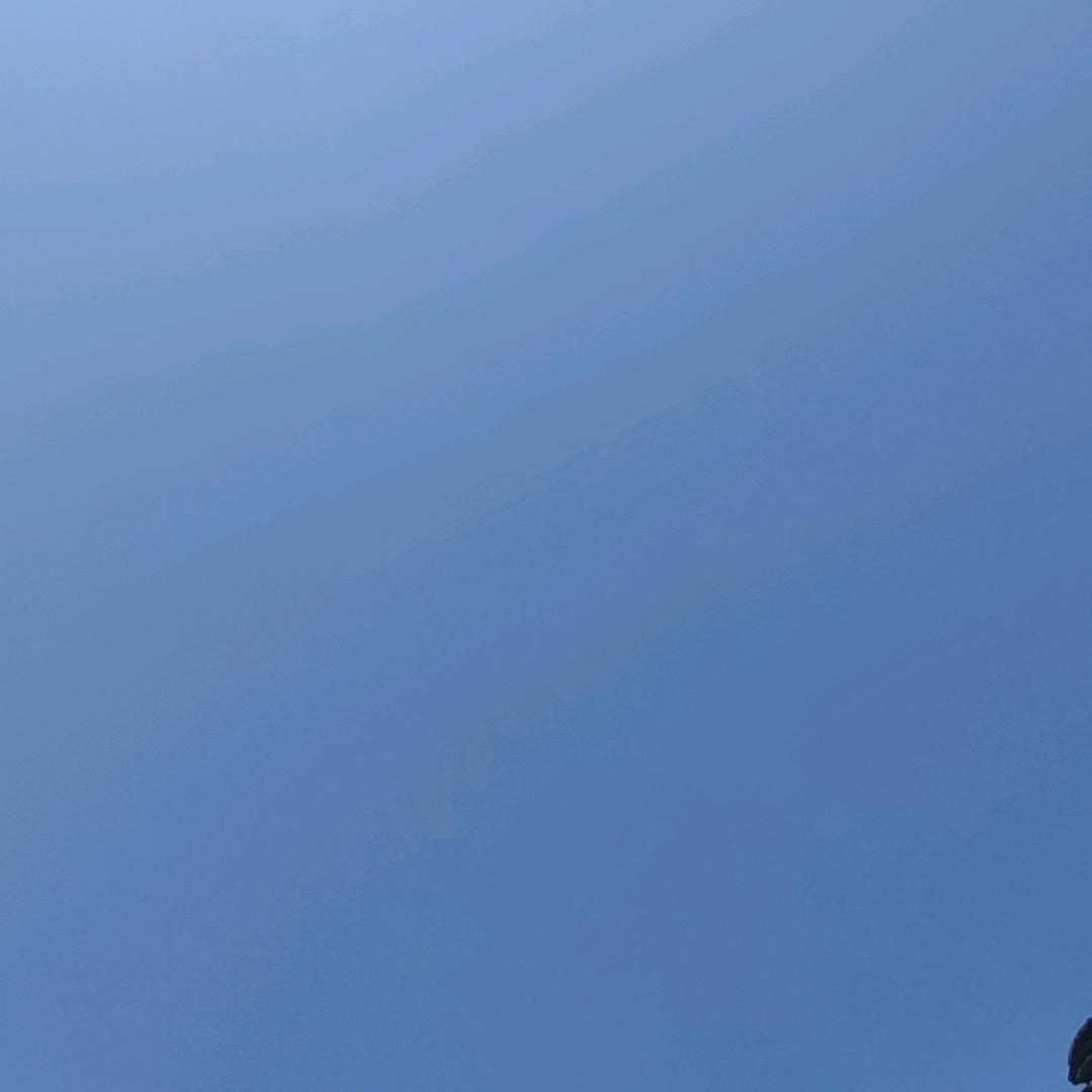 随风而去