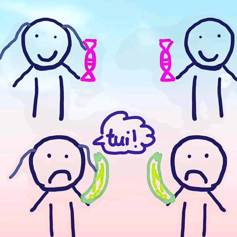 吢丕