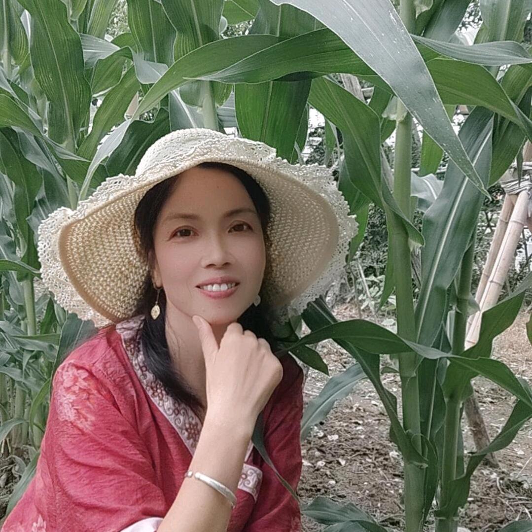 张彩容