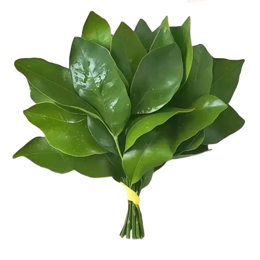 好运常伴我左右.