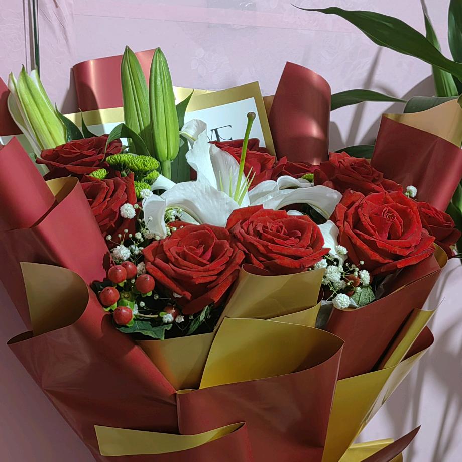 自由💦随风•｡☄