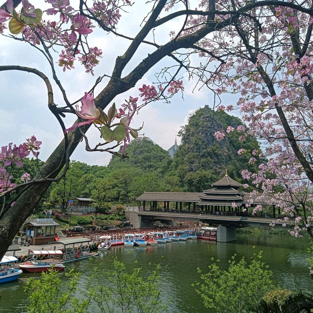 铭瑶