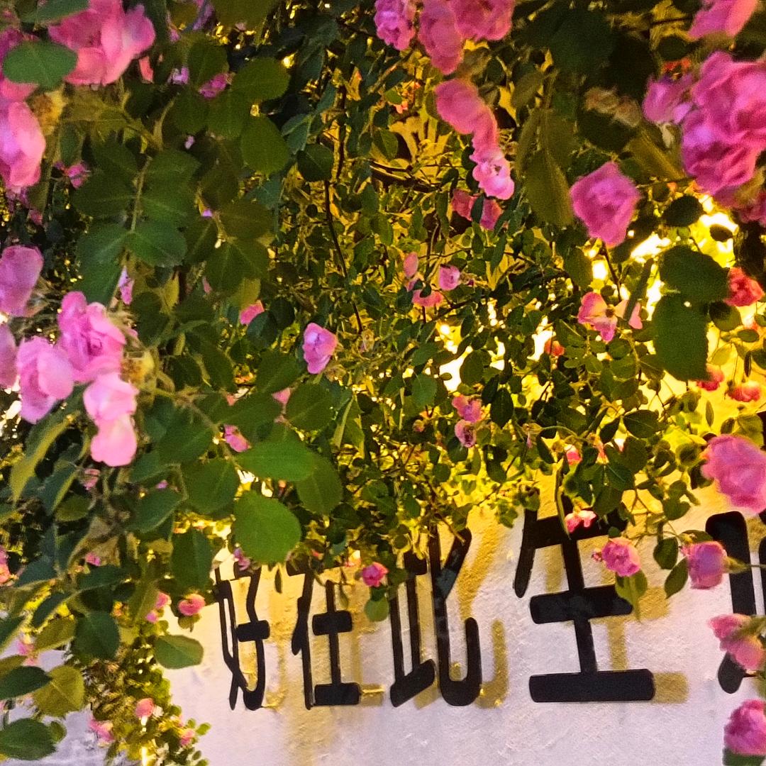 春风十里，不如你