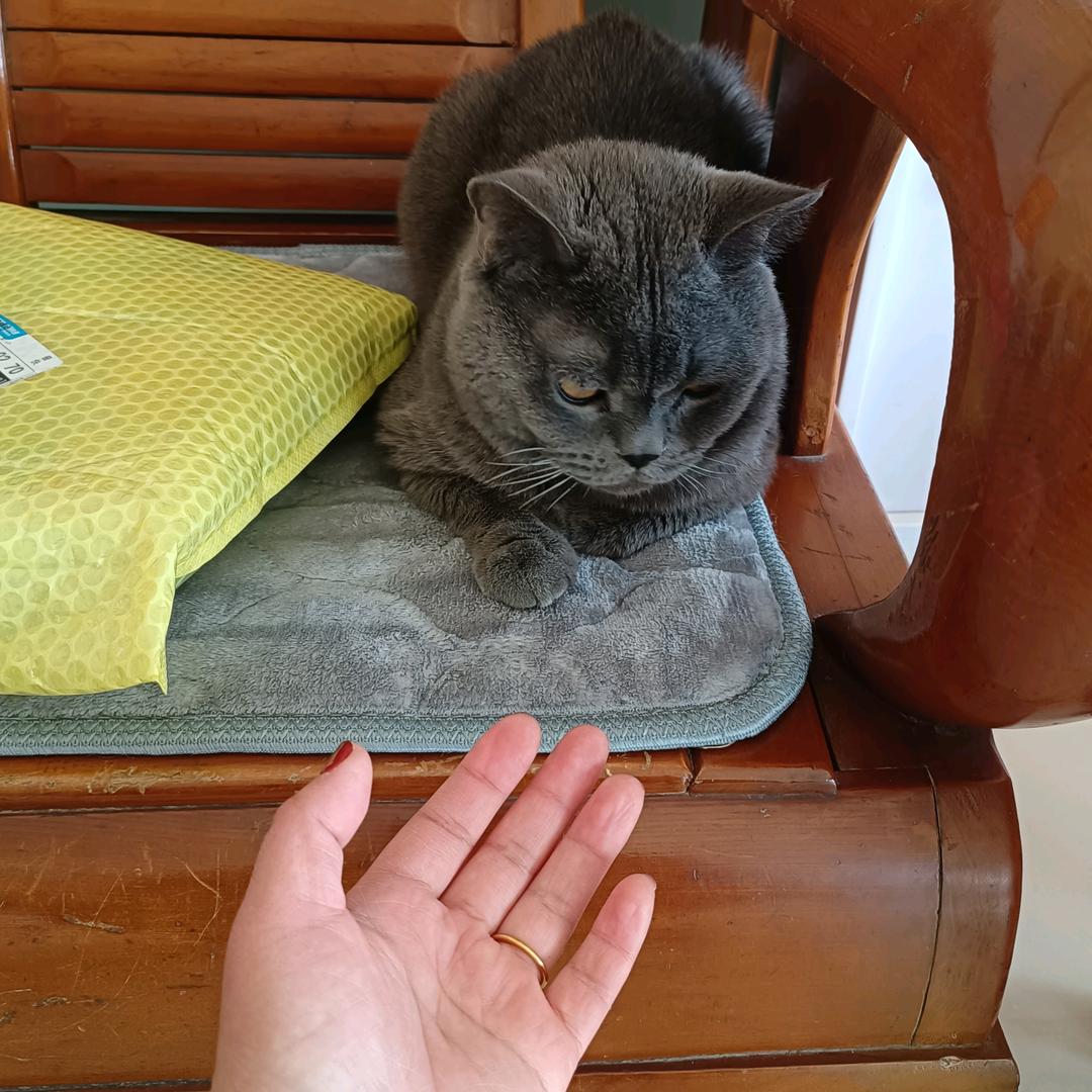 向日葵🌻🌻🌻