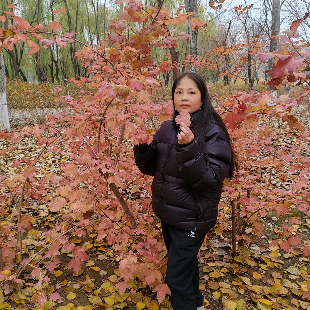 最美时光，