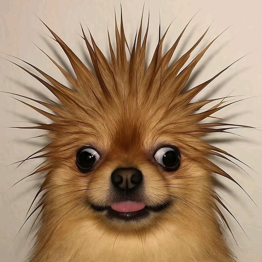 腚红的吗咯头像