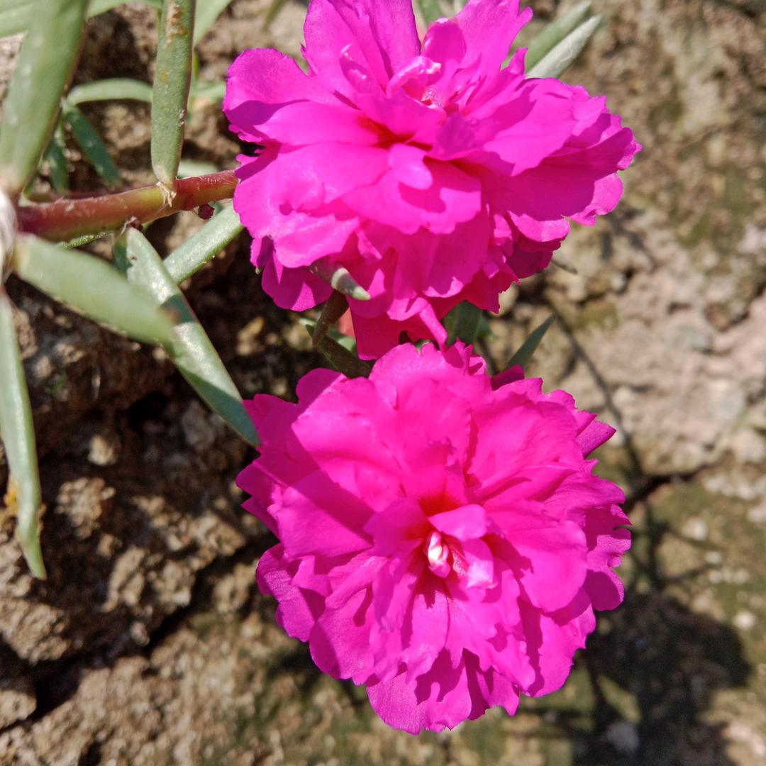 亿家甄选农产品