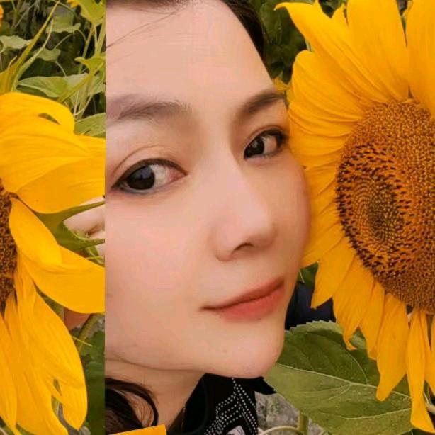 Li 莉